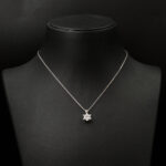 NZ Diamond 6 Tırnak 1 Karat Tektaş Kolye