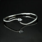 Curve Silver Kelepçe